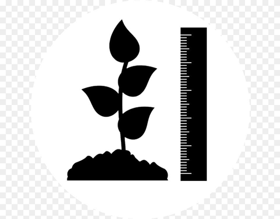 Plant Height Icon, Leaf, Stencil, Herbal, Herbs Free Transparent Png