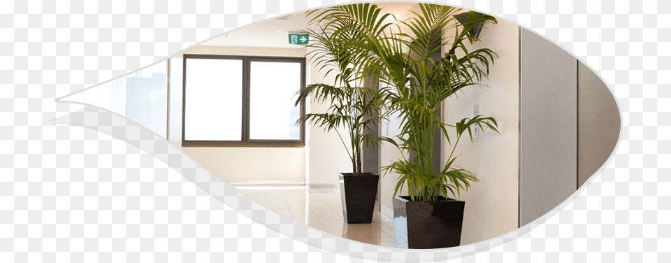 Plant Hire Services Best Indoor Plants For Office, Jar, Planter, Potted Plant, Pottery Free Transparent Png