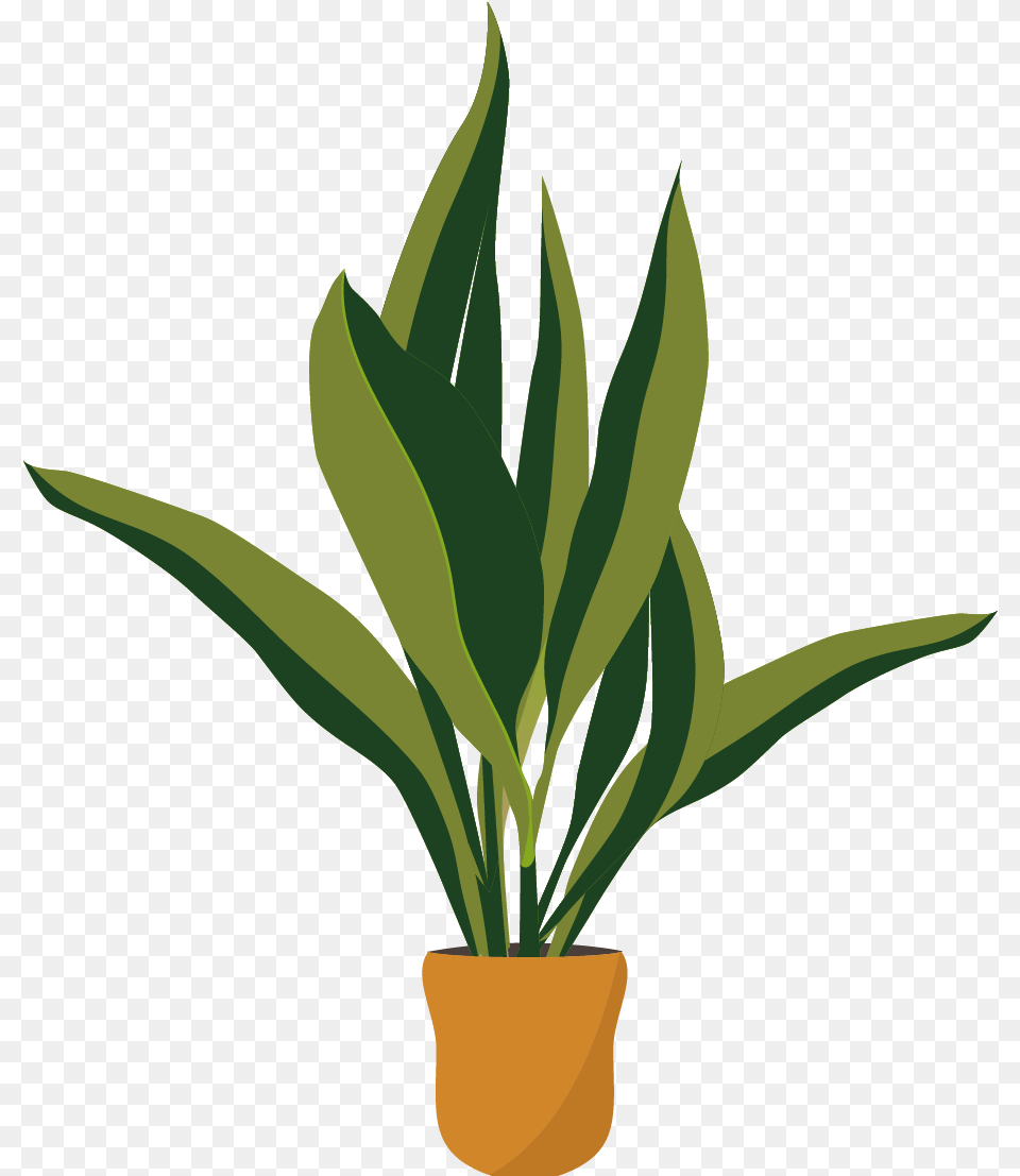 Plant Houseplant, Leaf, Potted Plant Png