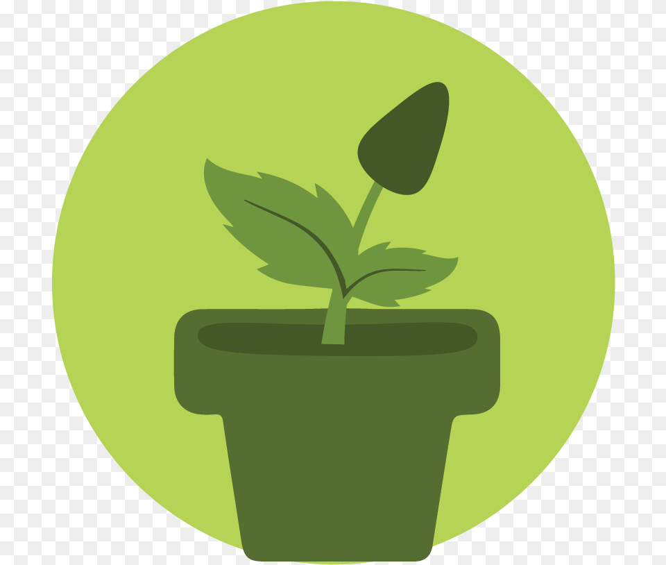 Plant Icon Black Circle, Green, Herbal, Herbs, Leaf Png Image