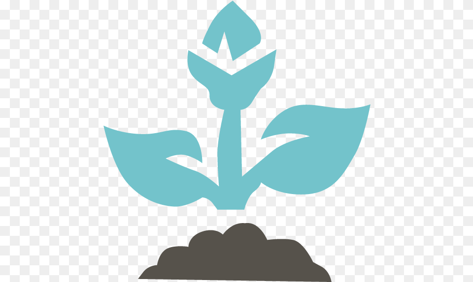 Plant Icon Wachtel Tree Science And Service, Electronics, Hardware, Hook, Baby Free Png