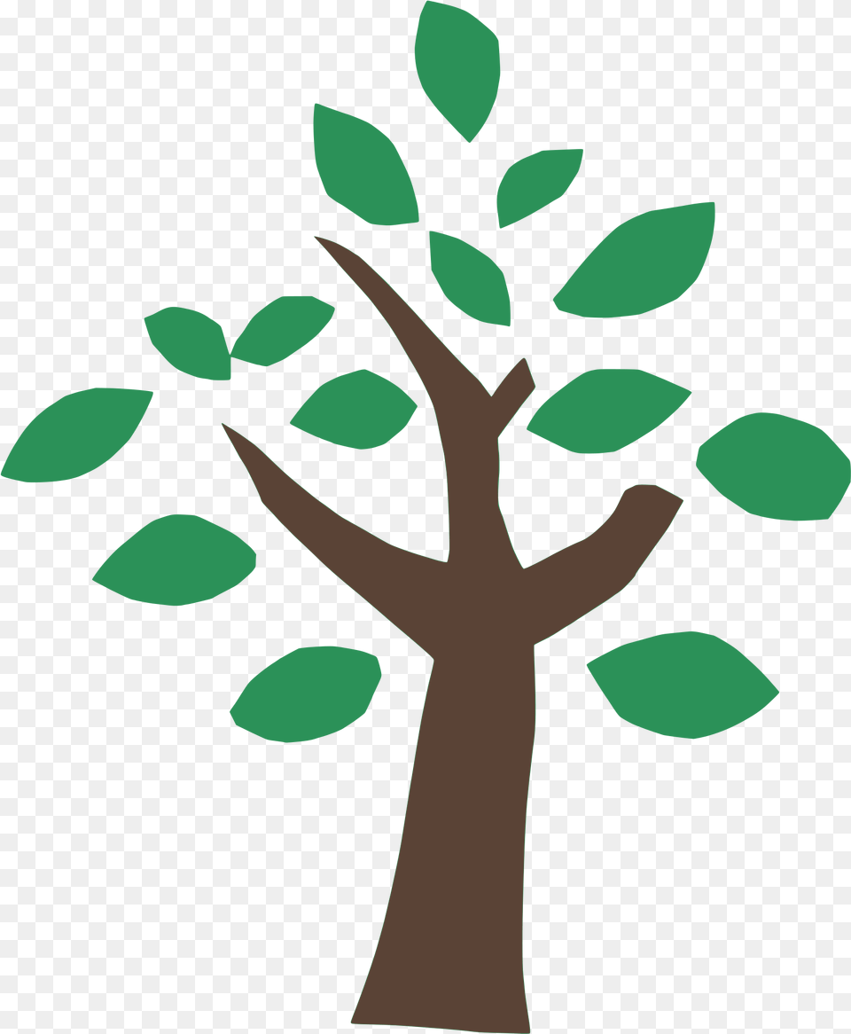 Plant Icon Wasser Dichteanomalie, Tree, Leaf, Herbal, Herbs Free Png Download