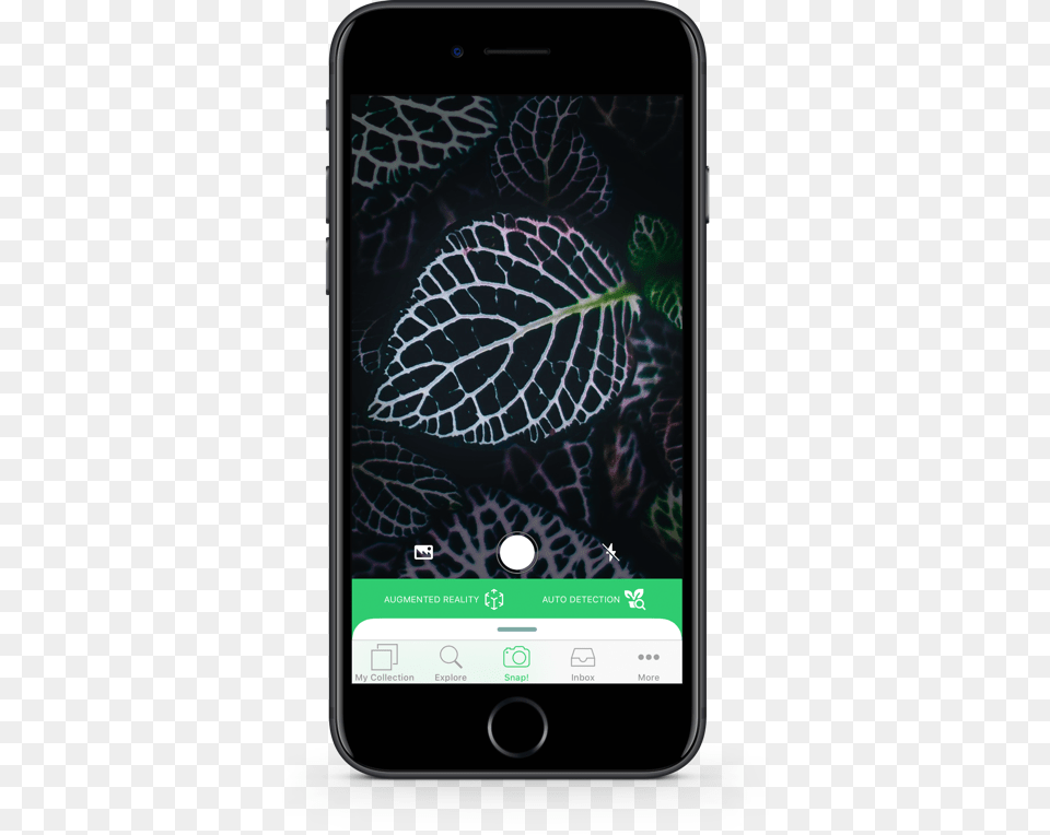 Plant Identification App, Electronics, Iphone, Mobile Phone, Phone Free Png Download