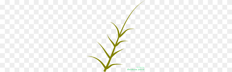 Plant Images Icon Cliparts, Grass, Leaf, Flower Png Image