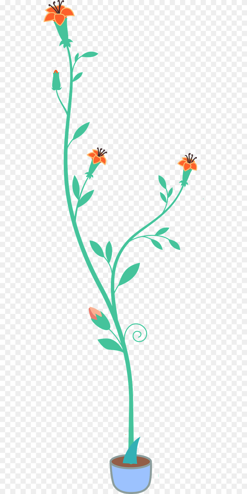 Plant In A Blue Pot With Tiny Orange Flowers Clipart, Art, Floral Design, Flower, Flower Arrangement Free Png