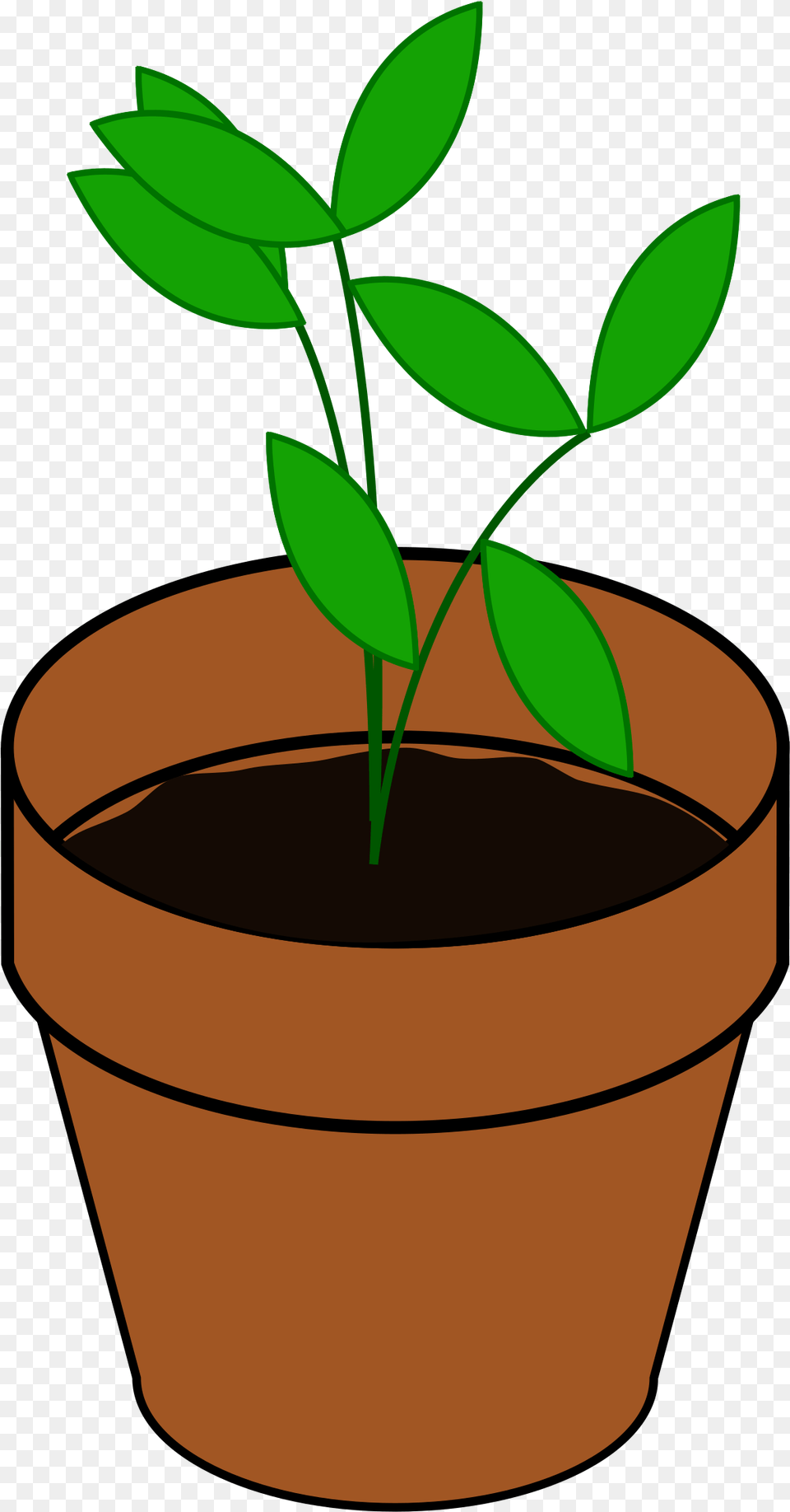 Plant In A Pot Clipart, Herbal, Herbs, Leaf, Potted Plant Free Png Download