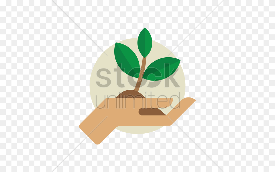 Plant In Hand Vector Image, Herbal, Herbs, Leaf Free Png