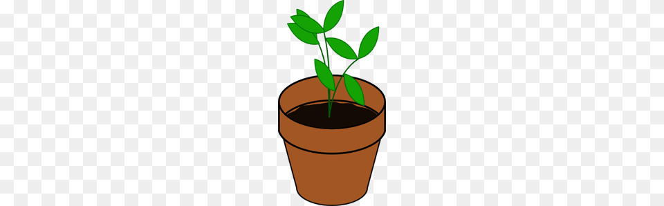 Plant In Pot Clip Arts For Web, Herbal, Herbs, Leaf, Potted Plant Free Png