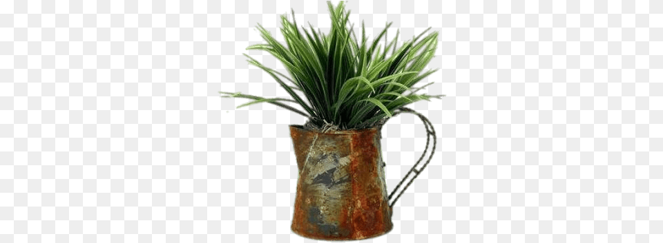Plant In Watering Can Transparent Stickpng Sweet Grass, Jar, Potted Plant, Pottery, Vase Png