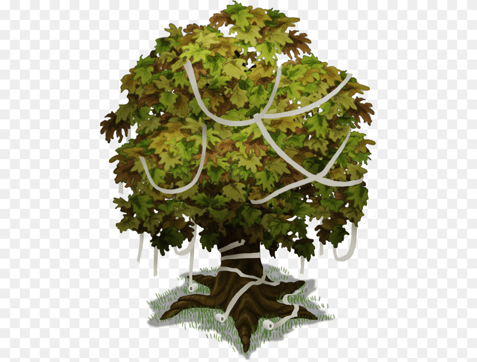 Plant Island Big Tree Halloween Trunk, Vegetation, Oak, Sycamore, Maple Png Image