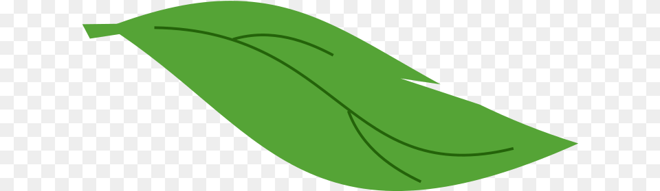 Plant Leaf Clip Art, Food, Produce, Animal, Fish Png Image