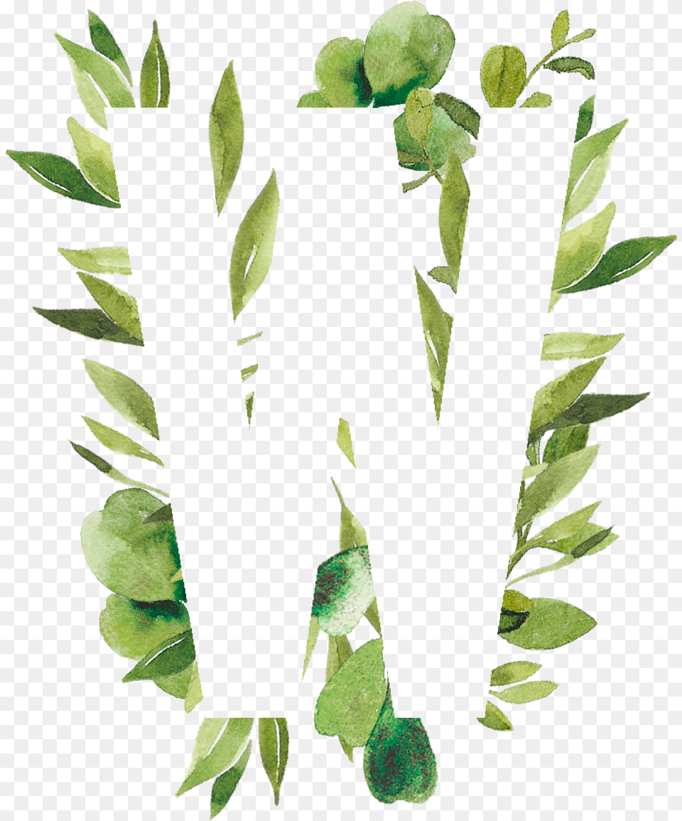 Plant Leaves By Zafrina Mendoza Clip Art, Green, Leaf, Tree, Text Free Png