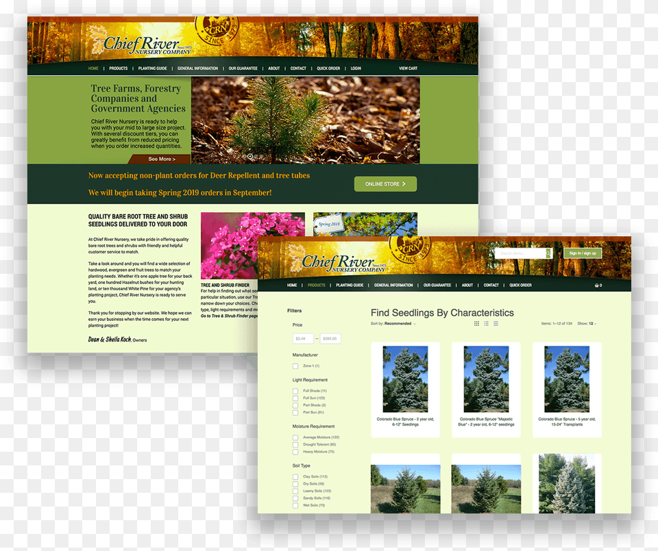 Plant Nursury Case Study, File, Webpage, Advertisement, Poster Free Png