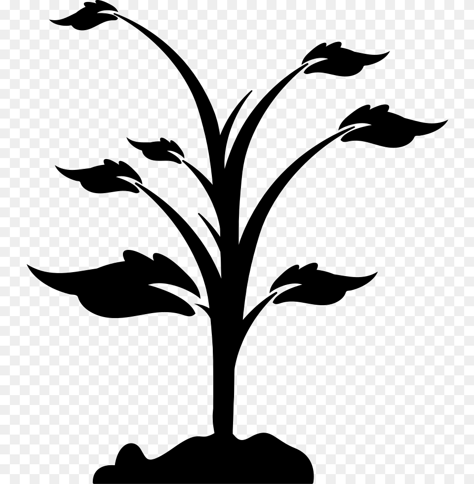 Plant On Ground Black Plants, Silhouette, Stencil, Art, Graphics Png Image