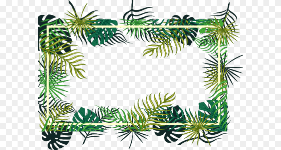 Plant Plants Leaves Green Frame Border Ftestickers Transparent Tropical Clipart, Rainforest, Outdoors, Nature, Tree Png