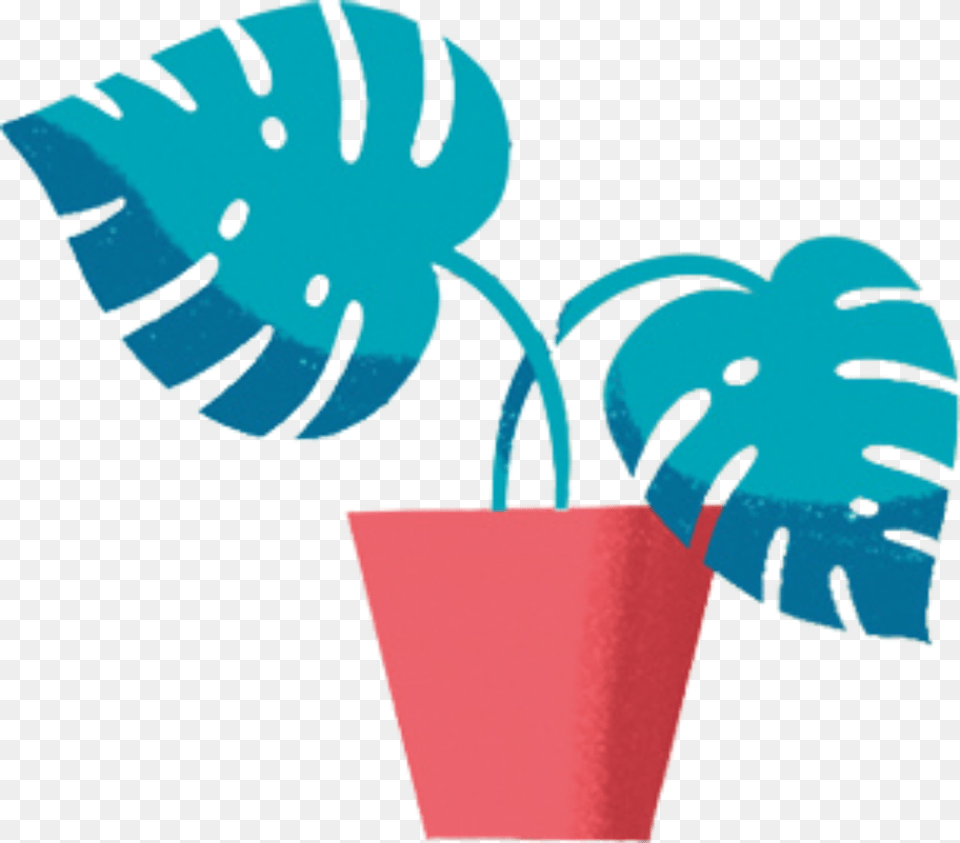Plant Pot, Clothing, Hat, Potted Plant, Berry Png