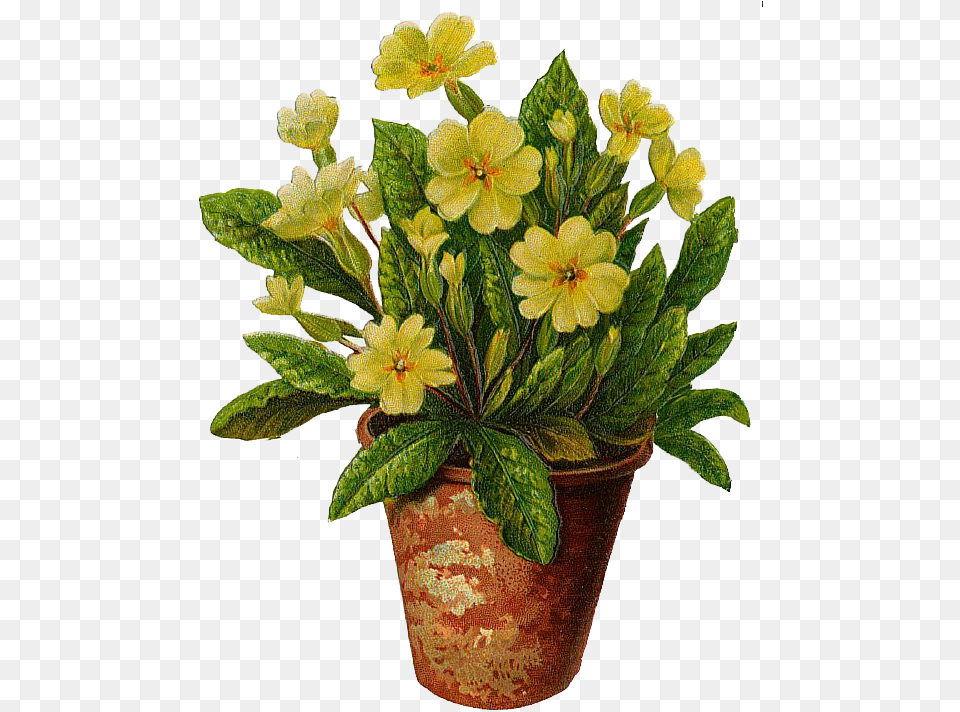 Plant Pot Clip Art Flowers In Pots, Flower, Flower Arrangement, Leaf, Potted Plant Free Png