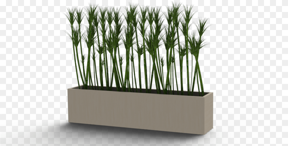 Plant Pot Solidwork, Jar, Planter, Potted Plant, Pottery Free Png