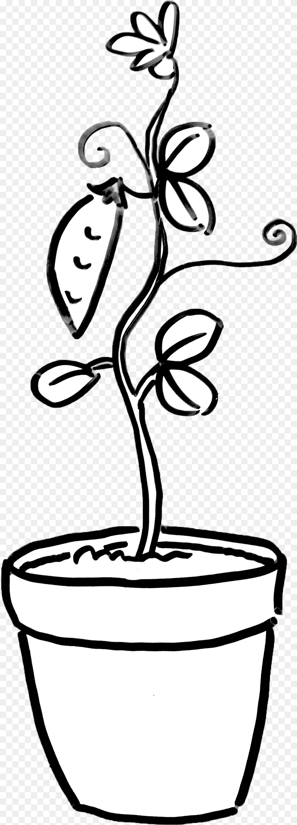 Plant Potted Houseplant Growing Garden Sprouting Dayna Flowerpot, Potted Plant, Stencil, Art, Flower Png Image