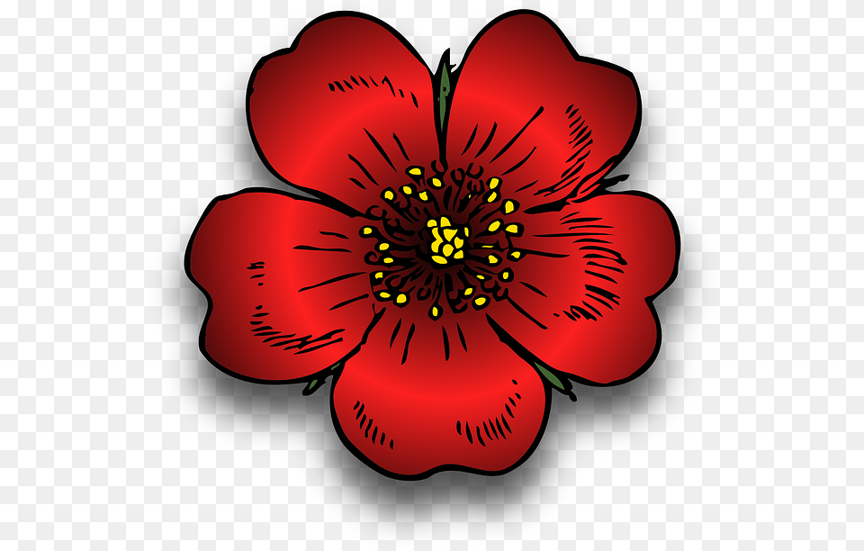 Plant Red Rosa Rose Wild Blossom Beautiful Bloom Wild Rose Clip Art, Anemone, Anther, Flower, Petal Free Png Download