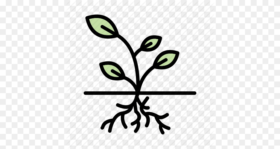 Plant Root Roots Icon, Flower, Art Free Png Download