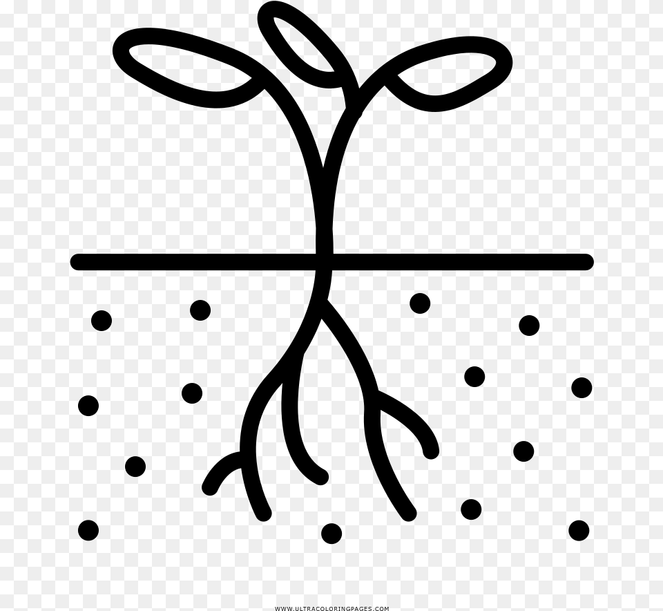 Plant Roots Coloring, Gray Png