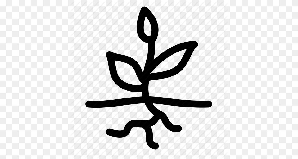 Plant Roots Root Roots Science Sprout Tree Roots Icon Png
