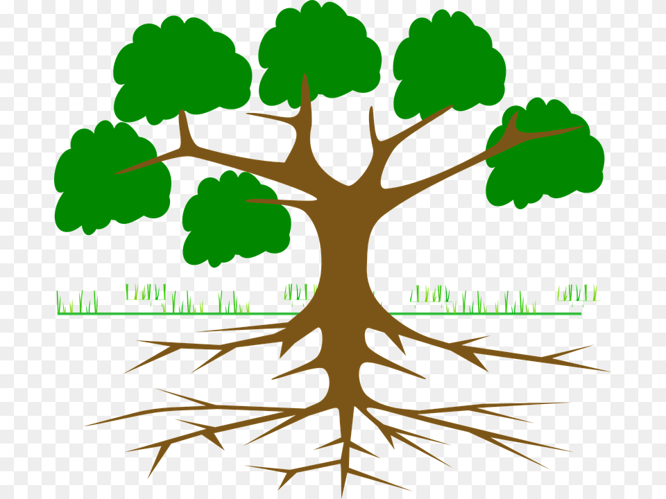Plant Roots Tree With Roots Cartoon, Root, Vegetation Free Png Download