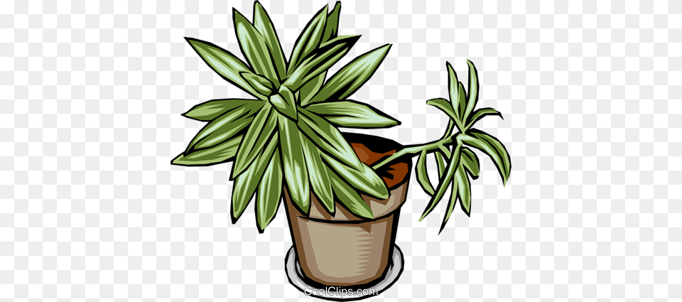 Plant Royalty Vector Clip Art Illustration, Leaf, Potted Plant, Tree, Jar Free Png