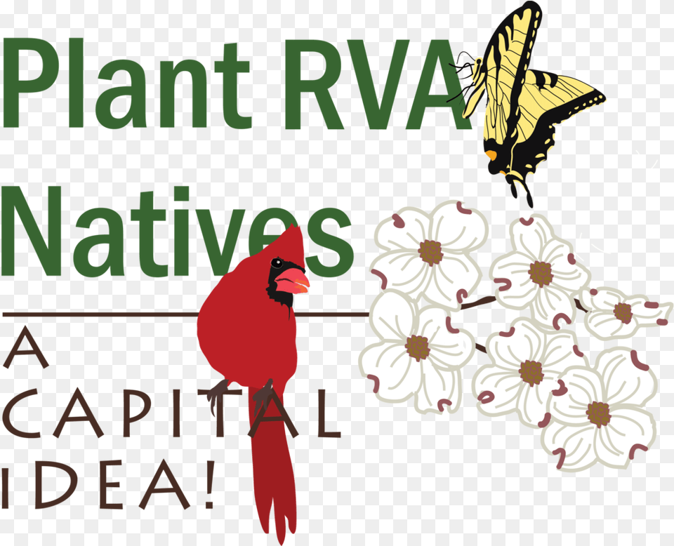 Plant Rva Natives A Capital Idea Logo Illustration, Animal, Bird, Flower, Cardinal Png