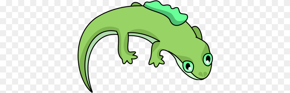 Plant Salamander Wiki, Animal, Gecko, Lizard, Reptile Png Image