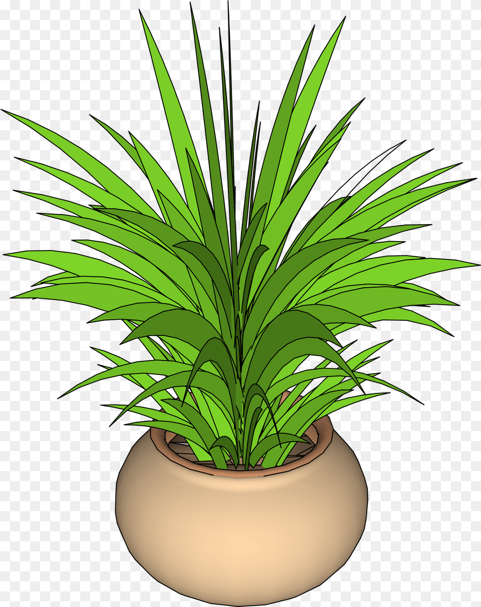 Plant Sketchup, Palm Tree, Potted Plant, Tree, Leaf Png Image