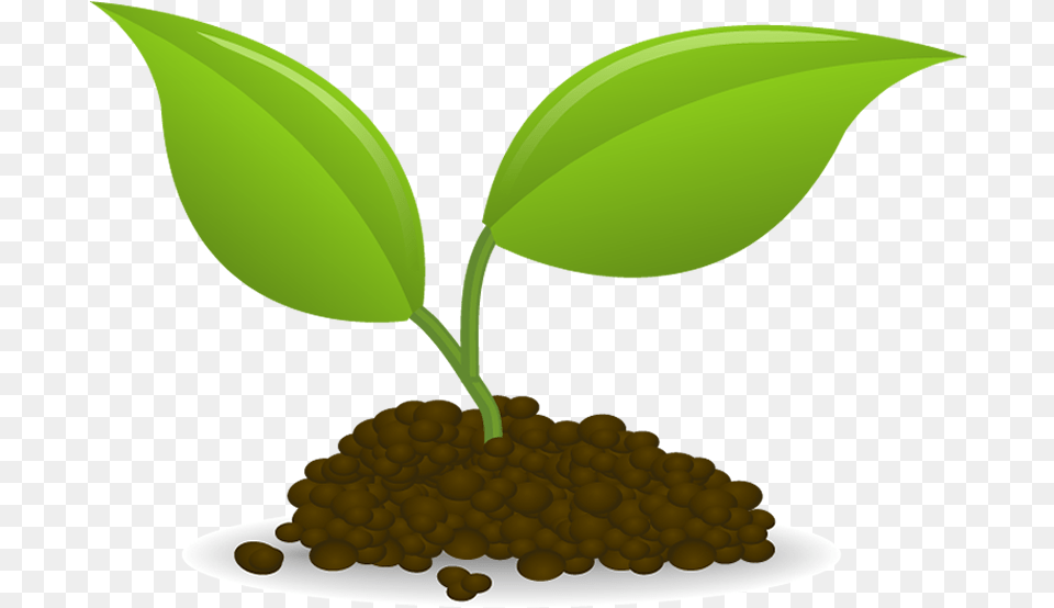 Plant Sowing Seedling Clip Art Seedling Clip Art, Leaf, Sprout Png