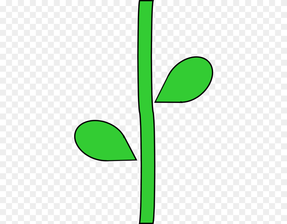 Plant Stem Plants Trunk Root Flower, Leaf, Herbal, Herbs, Cross Png Image