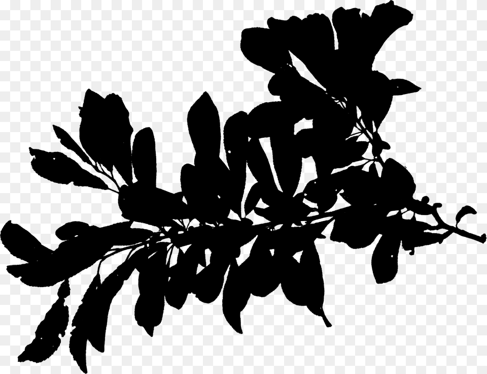 Plant Stem Silhouette Leaf Font Black Silhouette, Gray Png