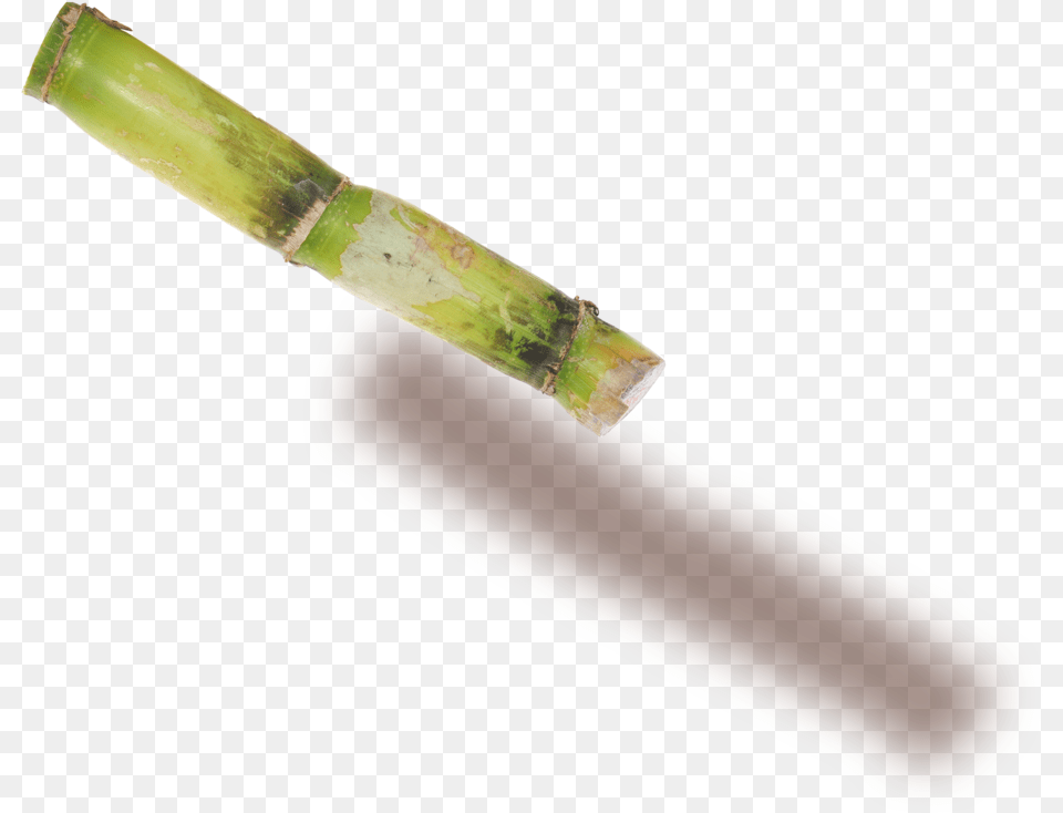 Plant Stem Wood, Blade, Knife, Weapon, Brush Png