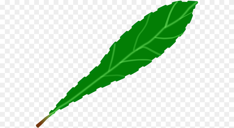 Plant Stemgreenplant Clipart Royalty Free Svg Clip Art, Green, Leaf Png