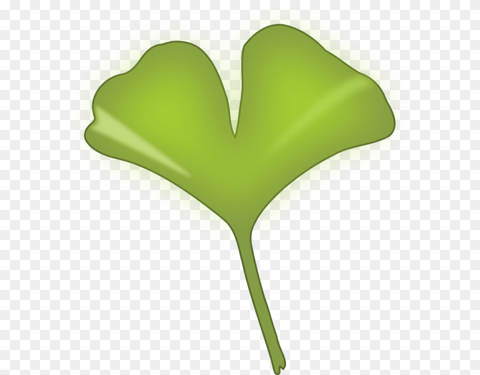 Plant Stemleafgrass Ginkgo Biloba Leaf, Green, Bow, Weapon Free Png