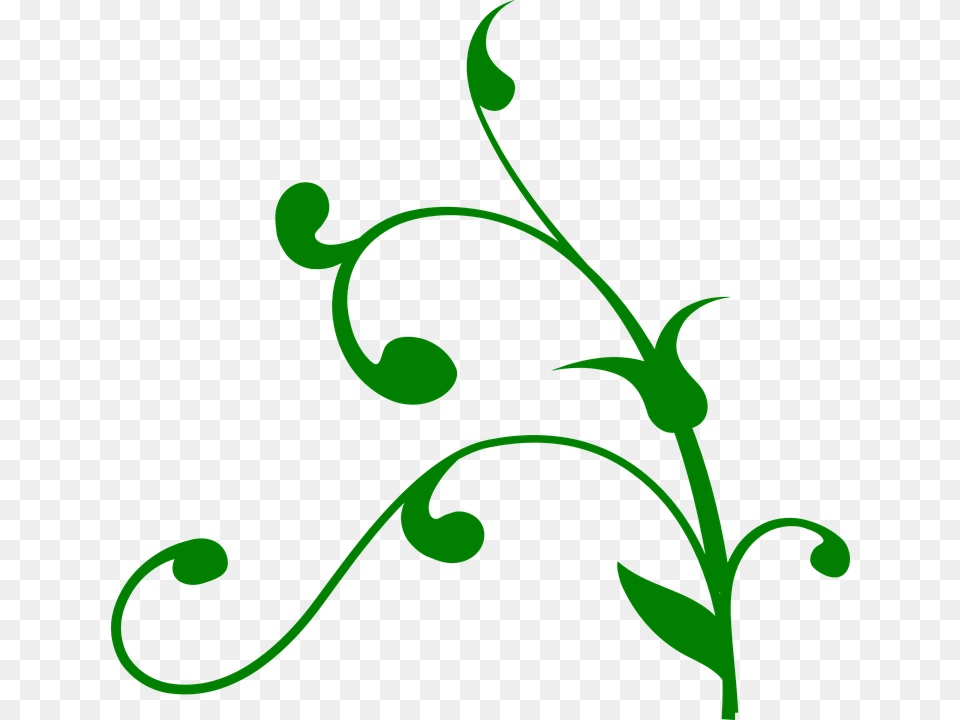 Plant Stems Clipart, Art, Floral Design, Graphics, Green Free Png Download