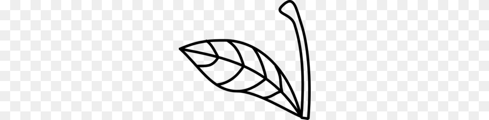 Plant Stems W Leaves Clipart, Gray Free Transparent Png
