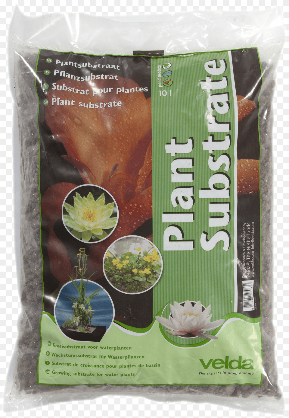 Plant Substrate Png