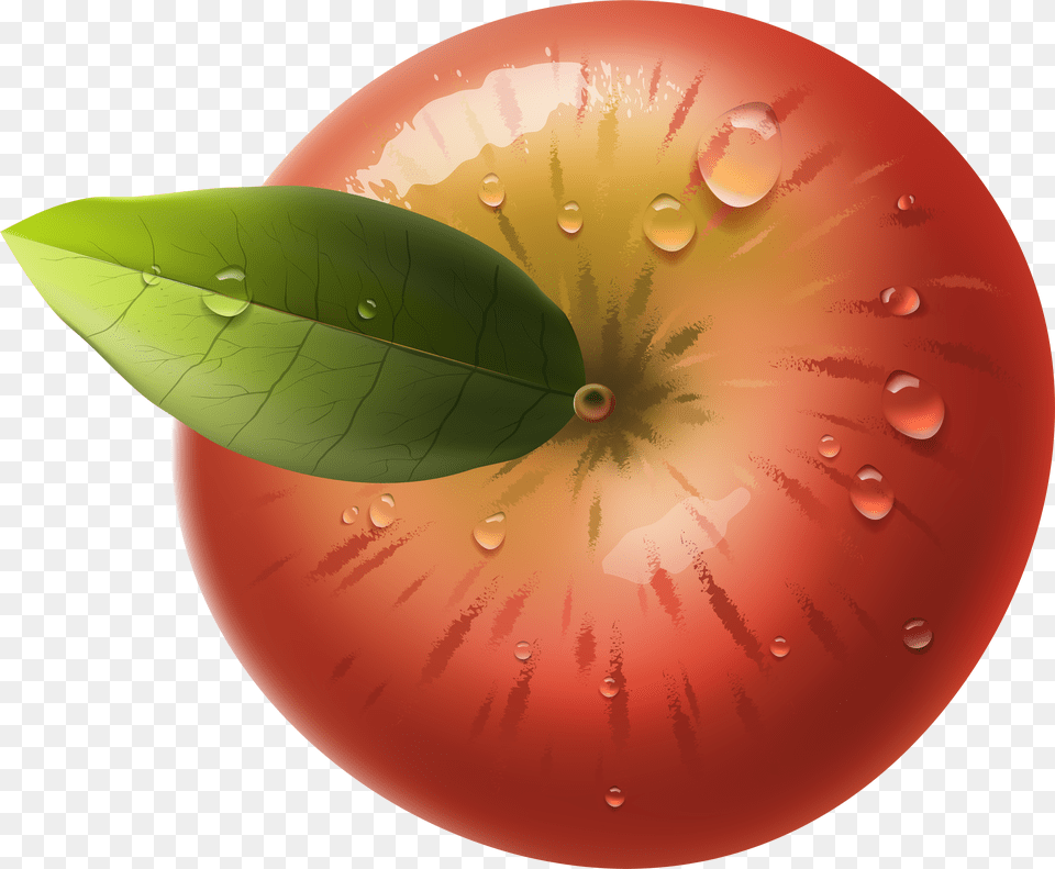 Plant Top View Apple Top View Free Transparent Png