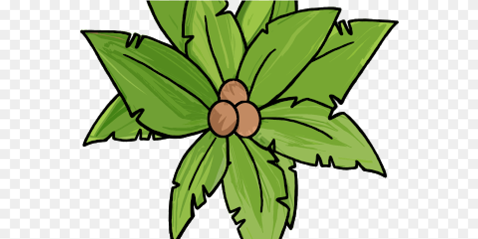 Plant Top View Top Of Palm Tree Clip Art Tree Top View Clipart, Leaf, Herbs, Herbal, Green Free Png Download