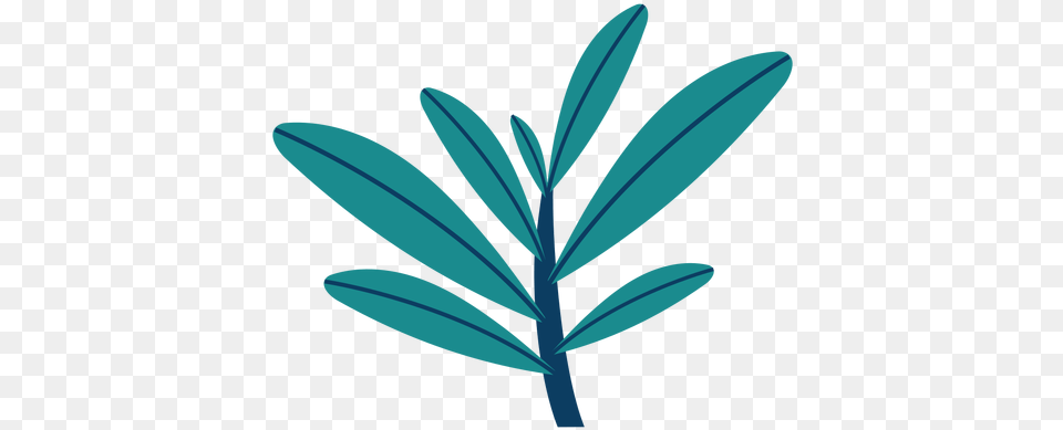 Plant Tree Bushes Leaf Flat Leaf Flat, Flower, Herbal, Herbs, Bud Free Transparent Png