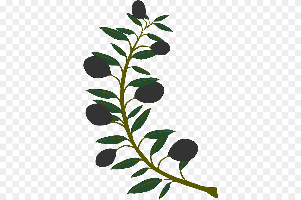 Plant Tree Clip Art Olive Tree Branches, Herbs, Leaf, Herbal, Flower Free Png Download