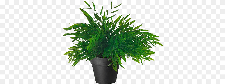 Plant Tumblr Ikea Artificial Potted Plant House Bamboo 11 Inch, Leaf, Potted Plant, Tree, Hemp Free Png