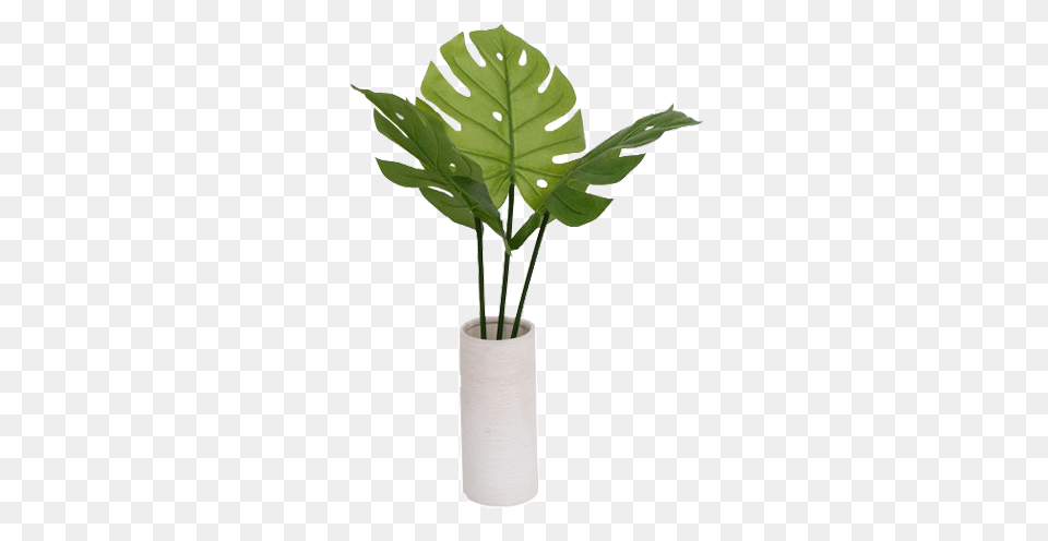 Plant Vase Image, Jar, Leaf, Planter, Potted Plant Free Png