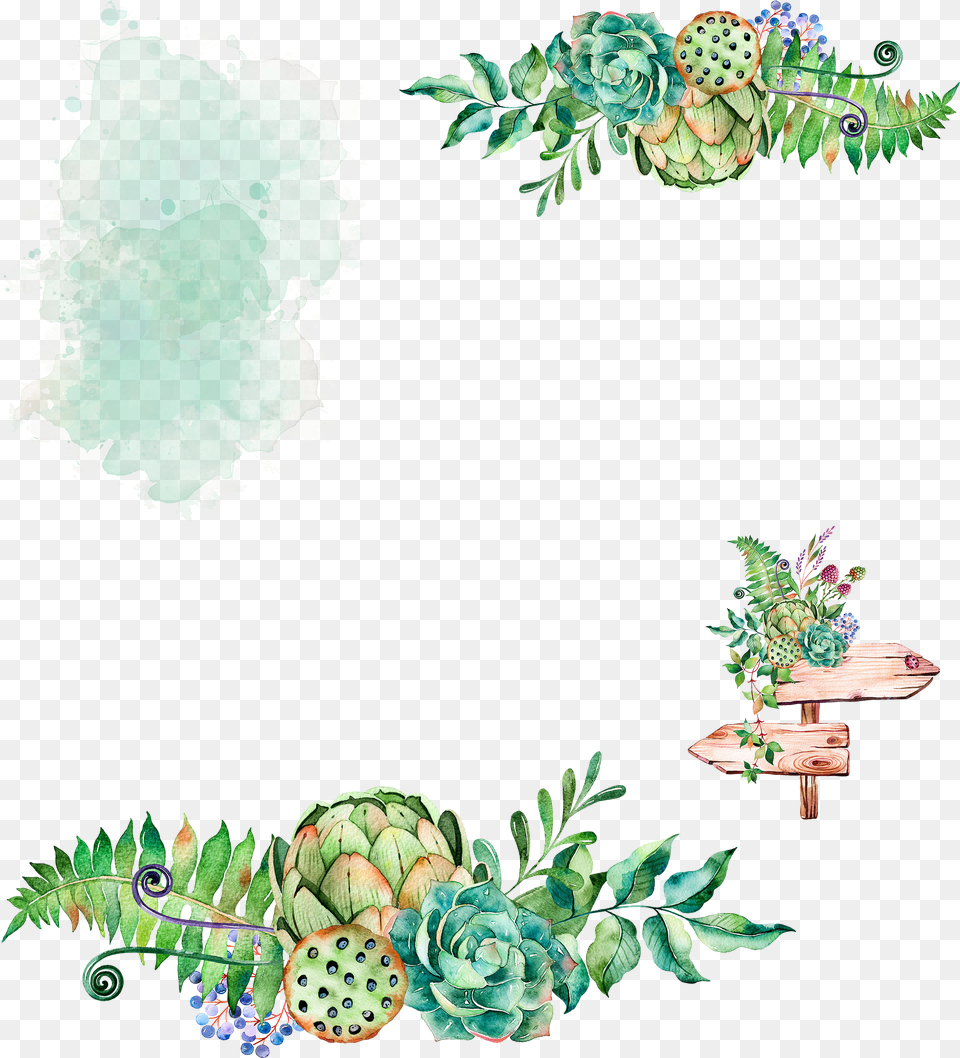 Plant Watercolor Painting Cactaceae Watercolor Border Succulent, Art, Graphics, Green, Floral Design Png