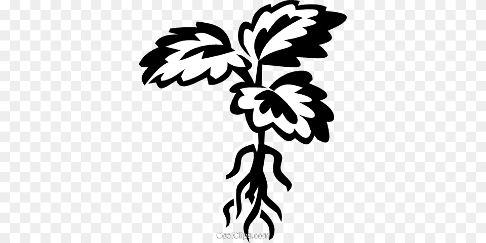 Plant With Roots Royalty Vector Clip Art Illustration, Graphics, Stencil, Leaf Free Png Download