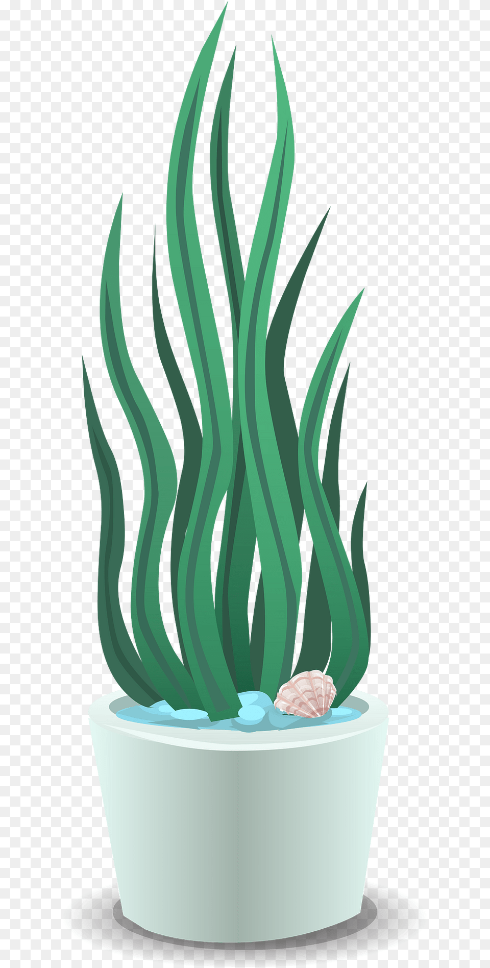 Plant With Seashell Clipart, Vase, Pottery, Potted Plant, Planter Free Png Download
